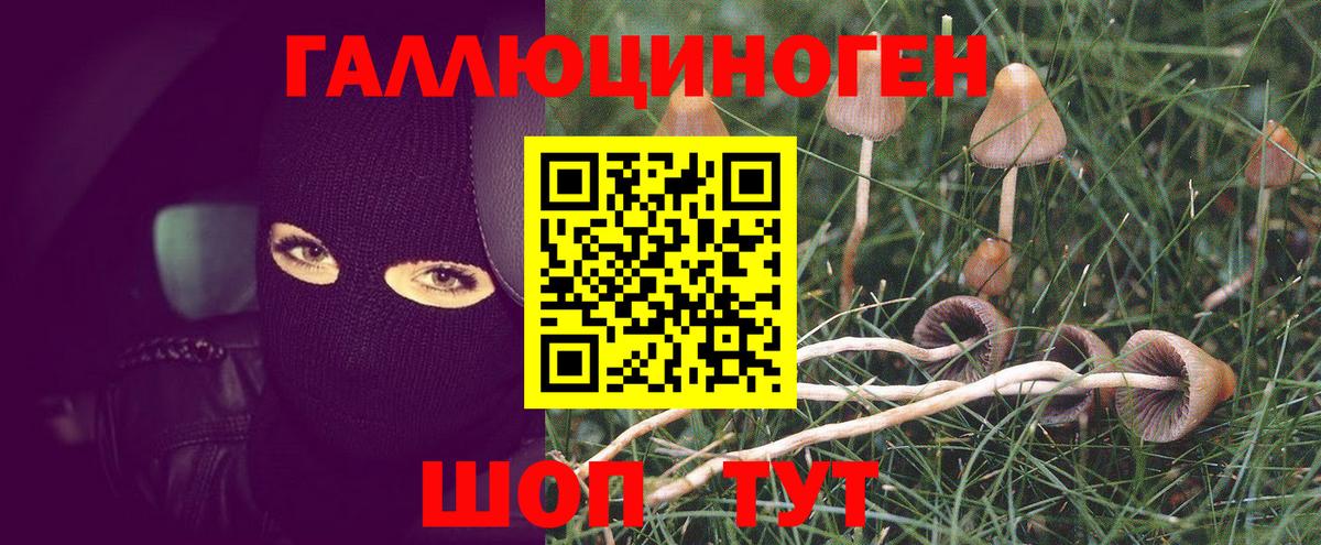 Галлюциногенные грибы мицелий Наро-Фоминск