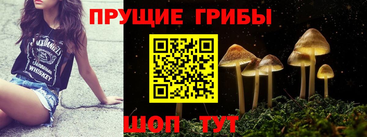 Галлюциногенные грибы Psilocybine cubensis  Вход с VPN  Наро-Фоминск 